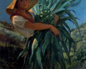 Maices - 伊格纳西奥·狄亚兹·奥拉诺